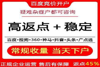 行业标杆的SEM竞价营销案例研究